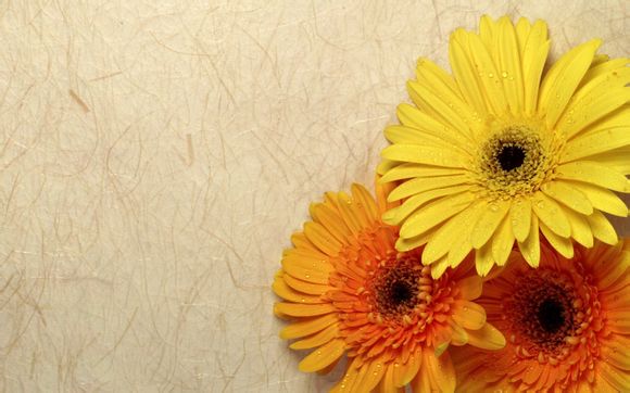 699文化创意园