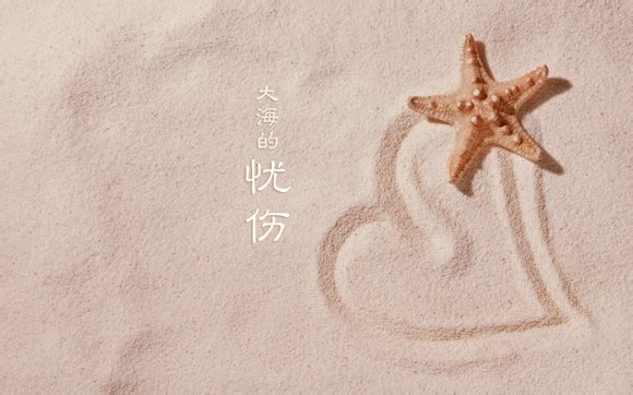 清源山可以开车到山顶吗